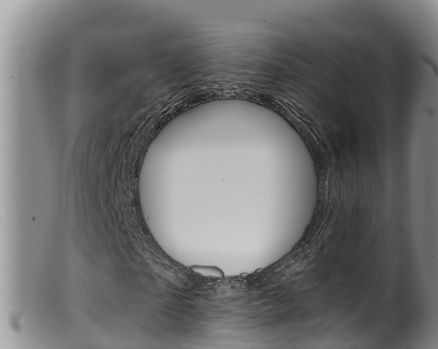 X0000099960865200805231024