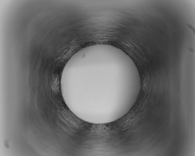 X0000099960866200805231024