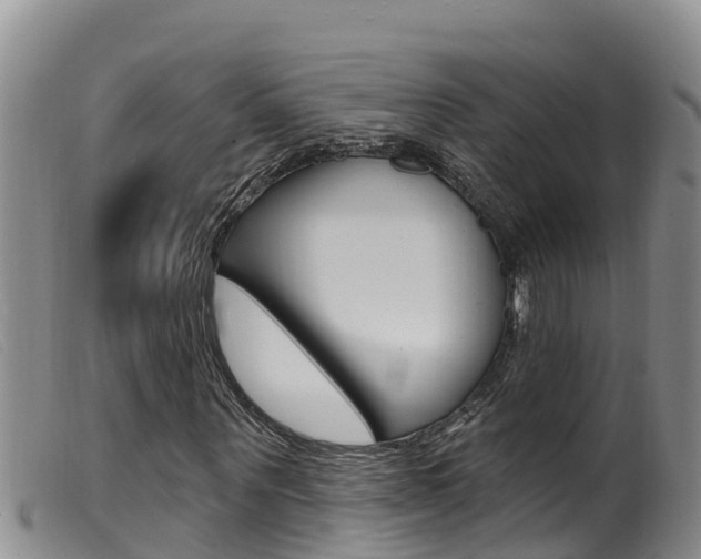 X0000099960867200805231024