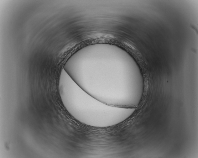 X0000099960869200805231024