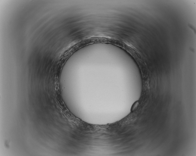 X0000099960870200805231024