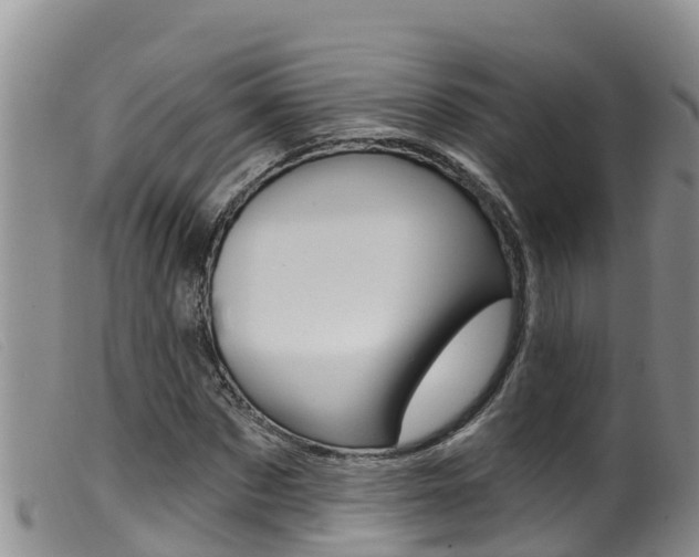 X0000099960873200805231024