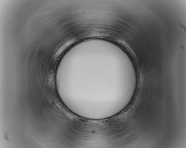 X0000099960874200805231024