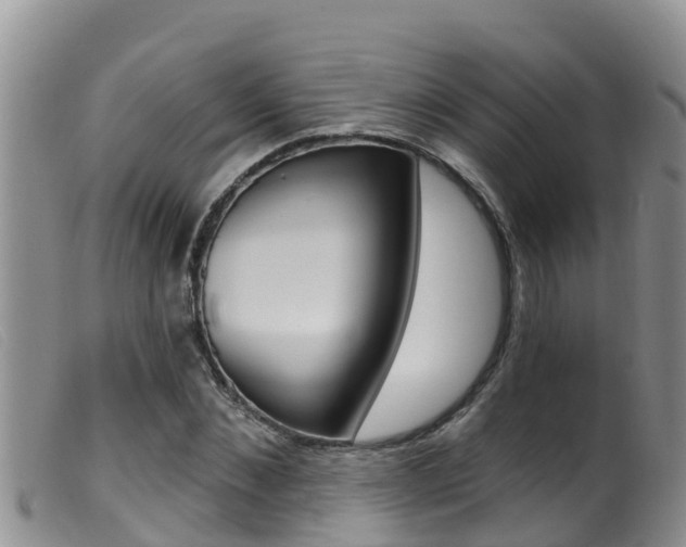 X0000099960876200805231024