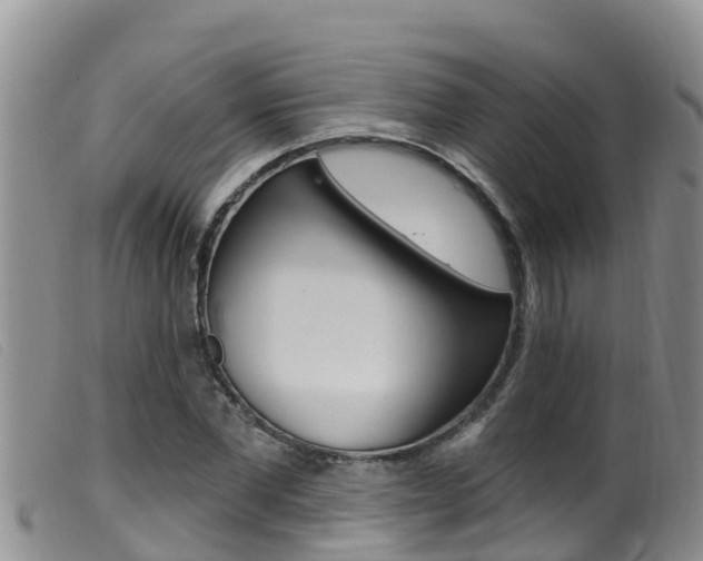 X0000099960877200805231024