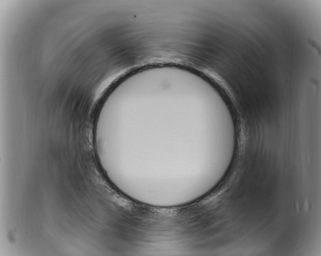 X0000099960878200805231024
