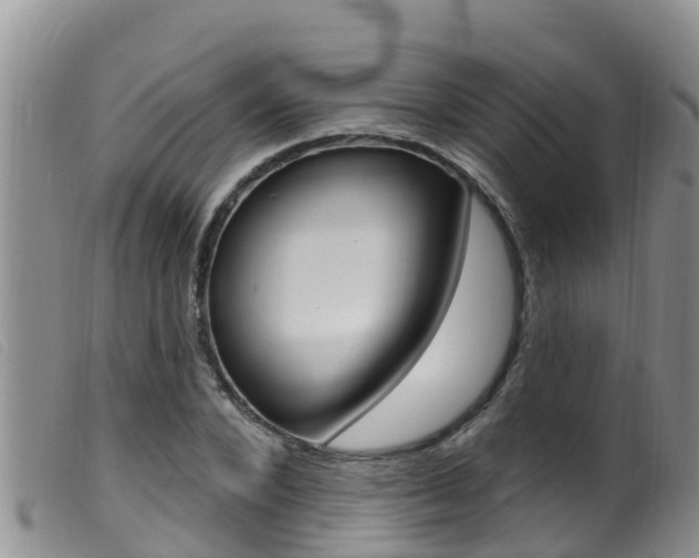 X0000099960880200805231024