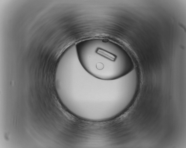 X0000099960881200805231024