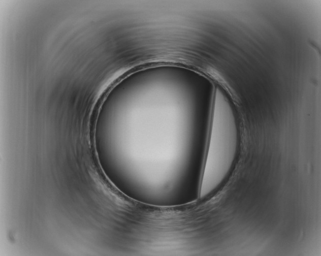 X0000099960884200805231024