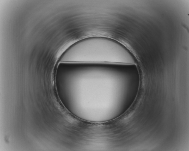 X0000099960885200805231024
