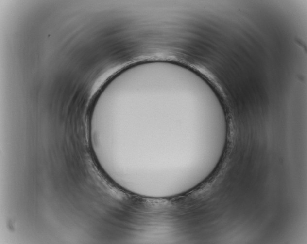 X0000099960886200805231024