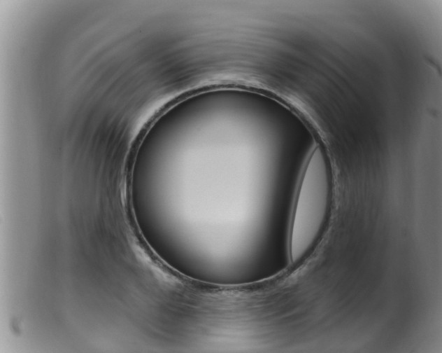 X0000099960888200805231024
