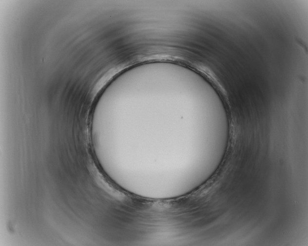 X0000099960890200805231024