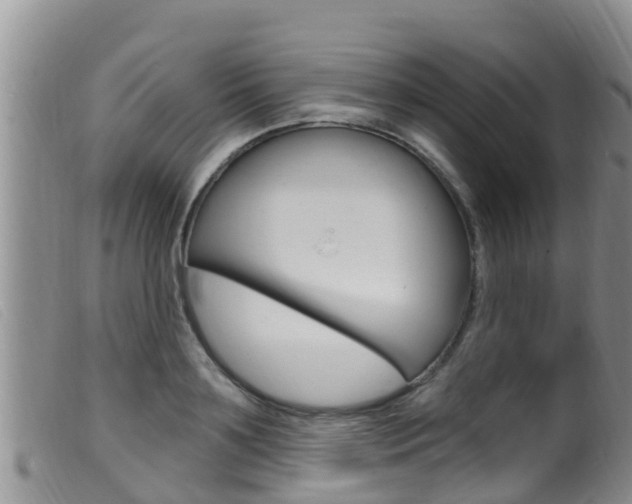 X0000099960891200805231024