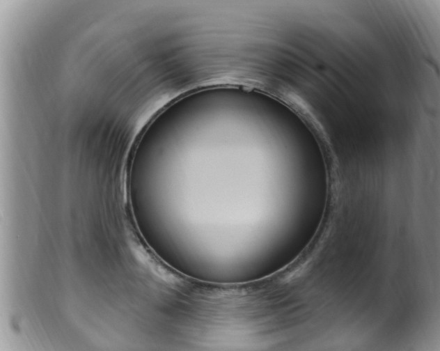 X0000099960892200805231024