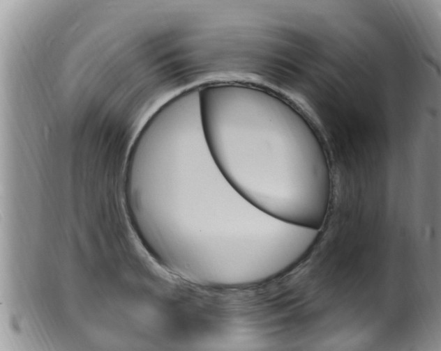 X0000099960895200805231024