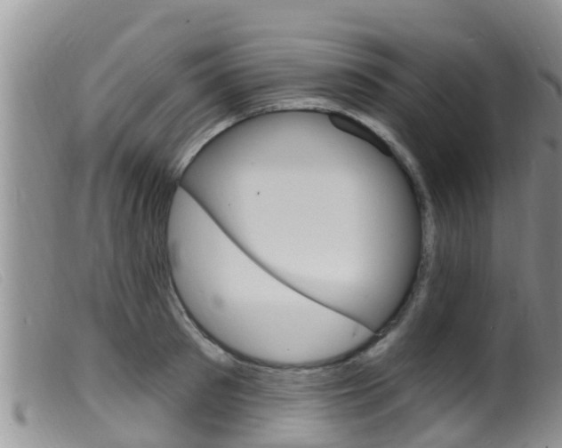 X0000099960897200805231024