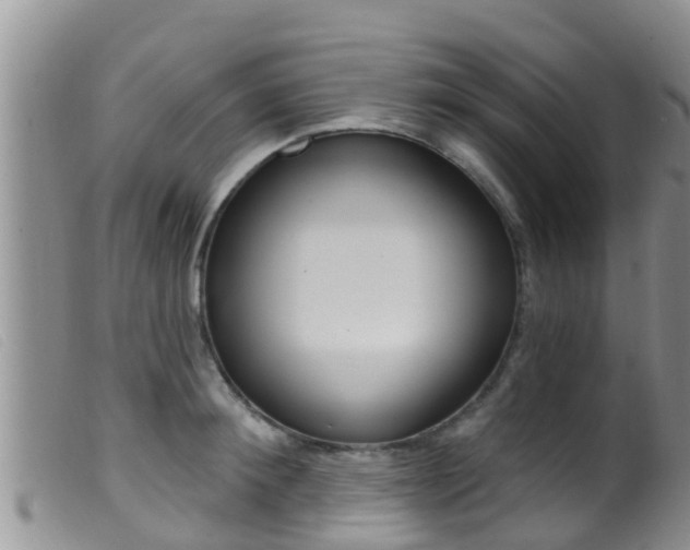 X0000099960900200805231024