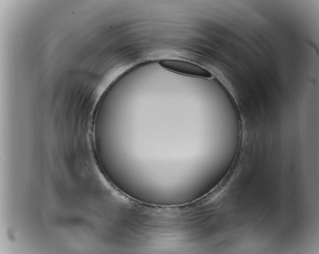 X0000099960901200805231024