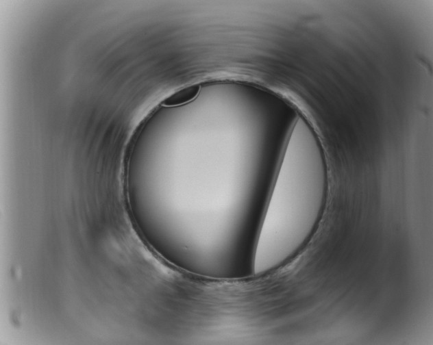X0000099960902200805231024