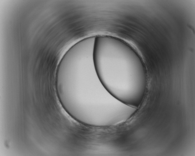 X0000099960903200805231024