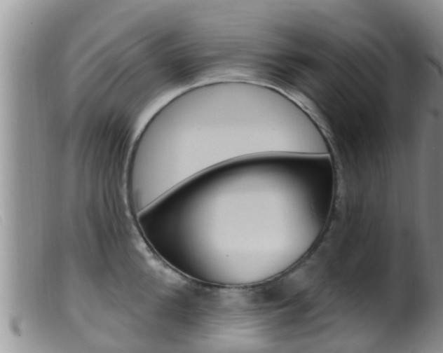 X0000099960904200805231024