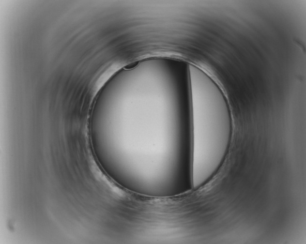 X0000099960906200805231024