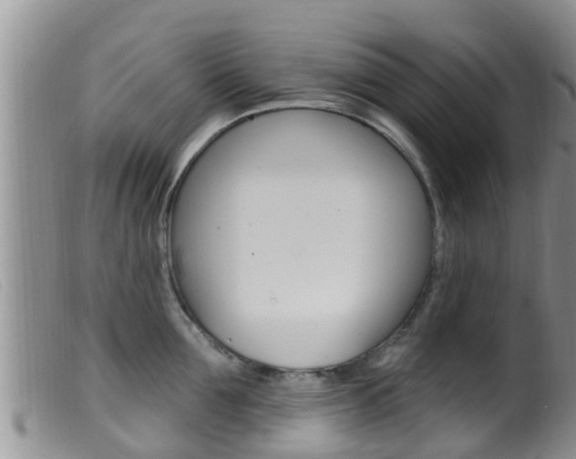 X0000099960907200805231024