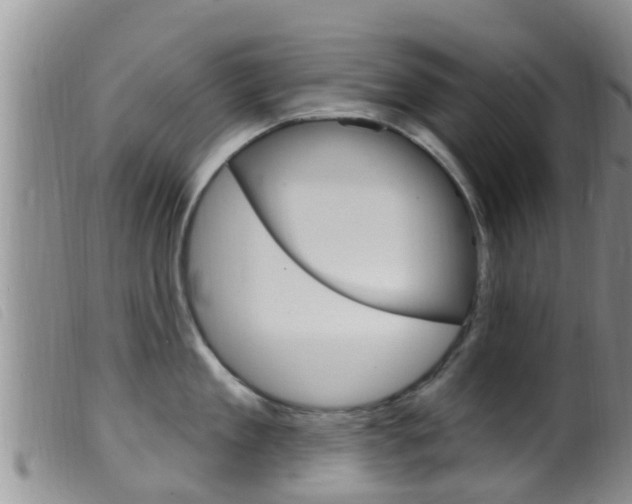 X0000099960909200805231023