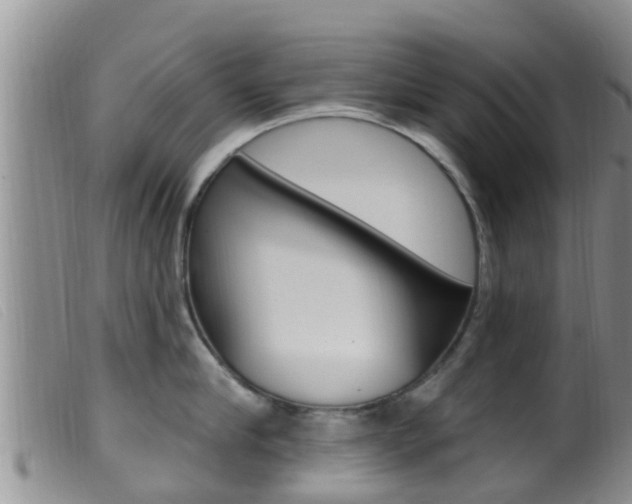 X0000099960910200805231023