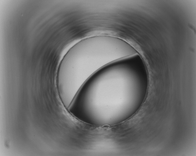 X0000099960912200805231023