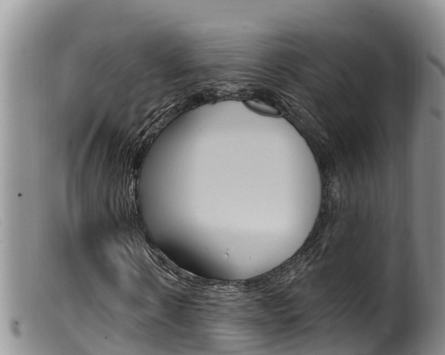 X0000099960914200805231023
