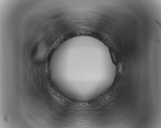 X0000099960915200805231023
