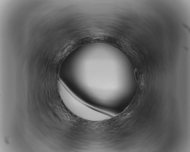 X0000099960916200805231023