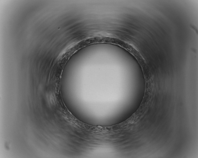 X0000099960919200805231023