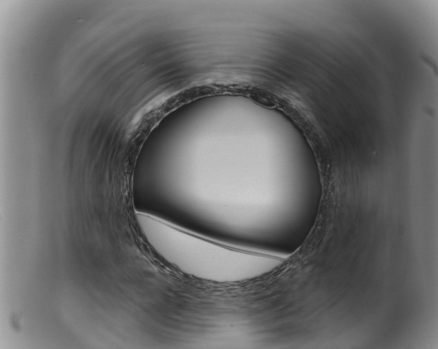 X0000099960920200805231023