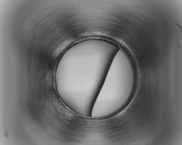 X0000099960921200805231023