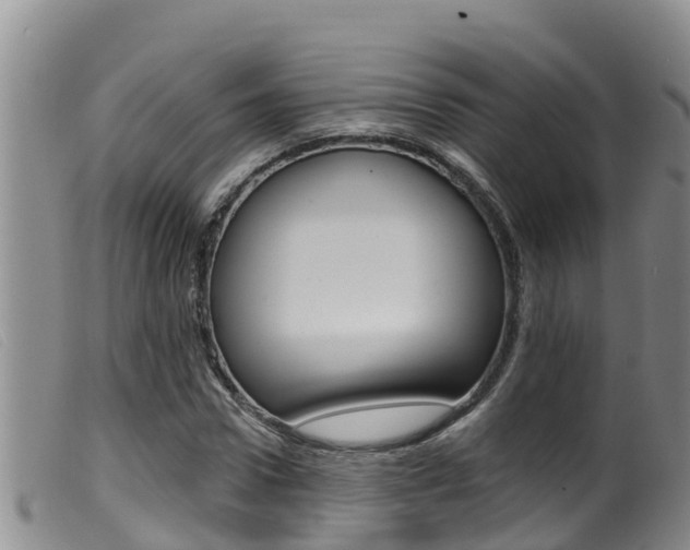 X0000099960922200805231023