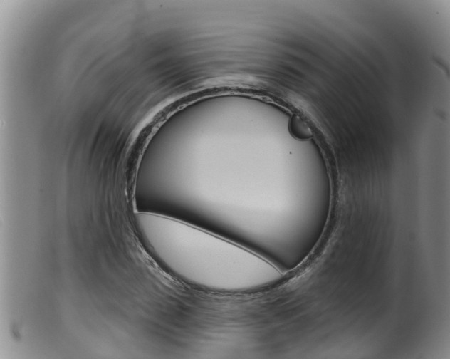 X0000099960923200805231023
