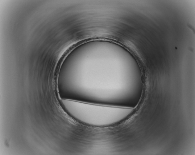 X0000099960924200805231023