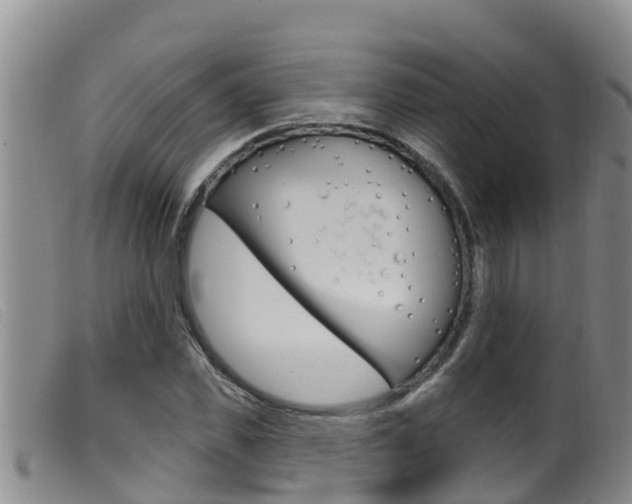X0000099960925200805231023