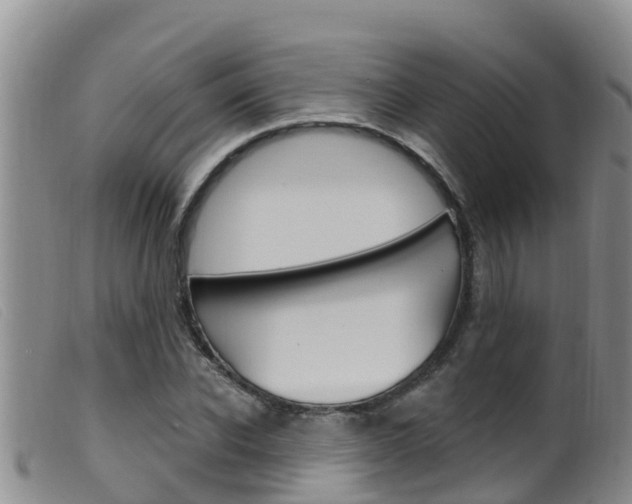 X0000099960926200805231023