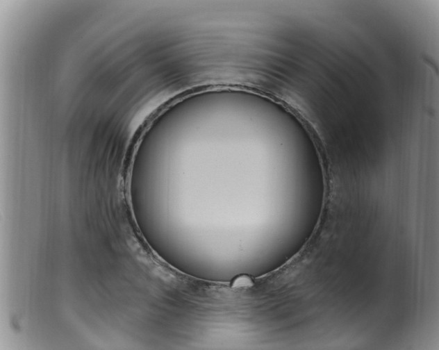 X0000099960928200805231023