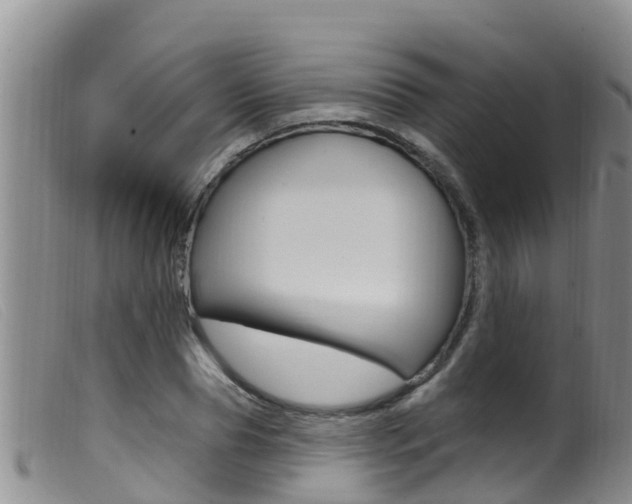 X0000099960929200805231023