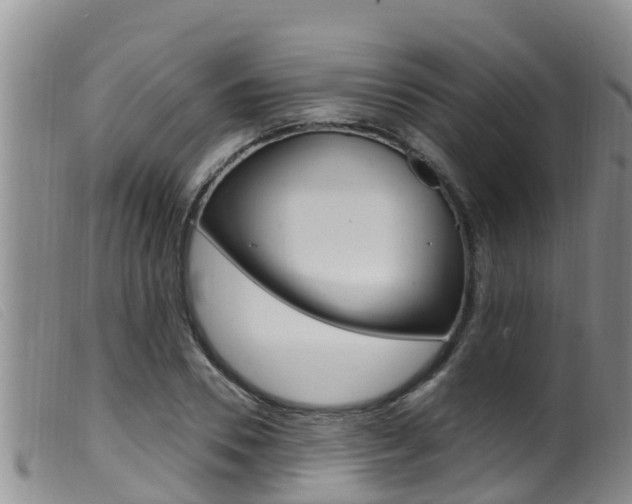 X0000099960930200805231023