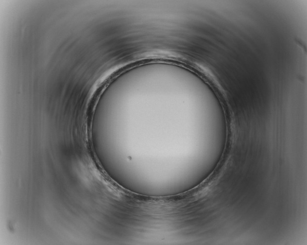 X0000099960931200805231023