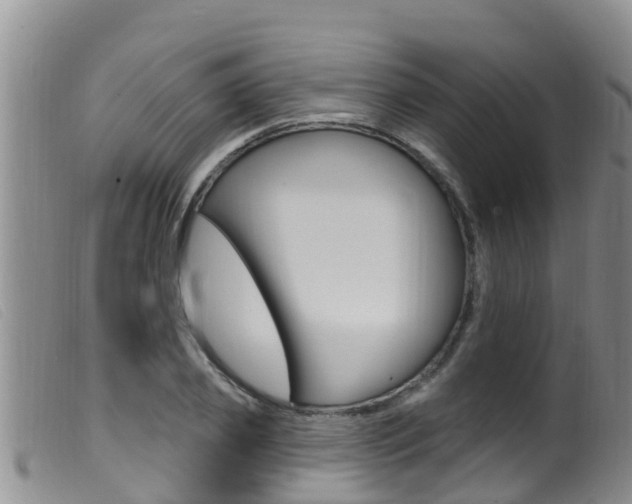 X0000099960933200805231023