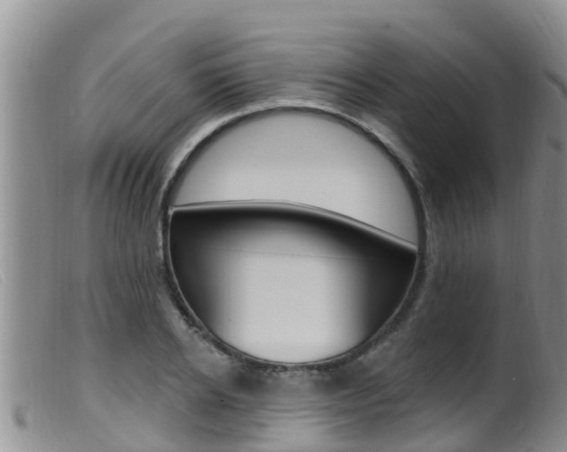 X0000099960934200805231023
