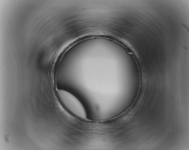 X0000099960935200805231023