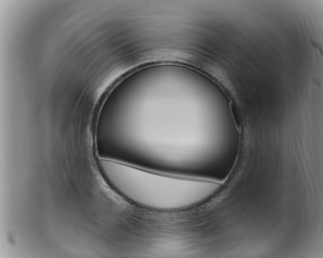 X0000099960936200805231023
